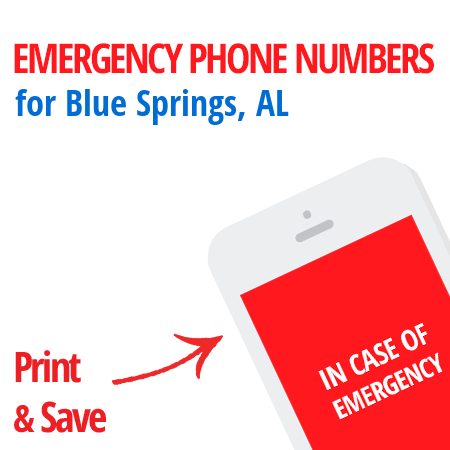 Important emergency numbers in Blue Springs, AL